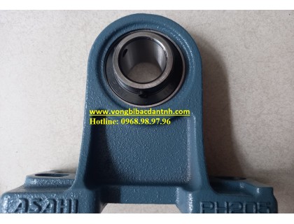 GỐI ĐỠ PH206